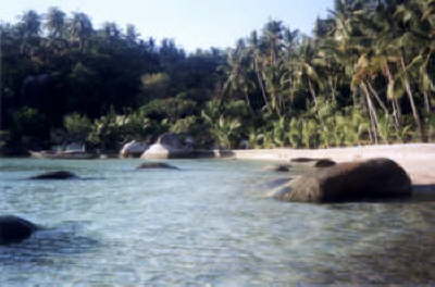 Ko Tao